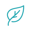 Simple line drawing of a leaf with a stem against a white background.