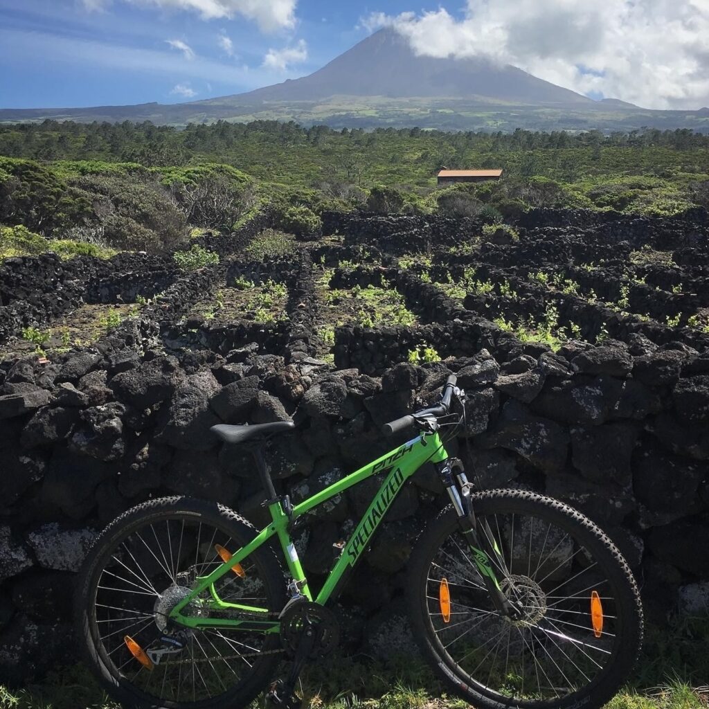 A green mountain bike rests against a lava stone wall in the Pico vineyards, with Pico Mountain towering in the background under a bright blue sky.