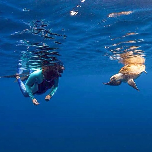 Pico Snorkeling By Boat