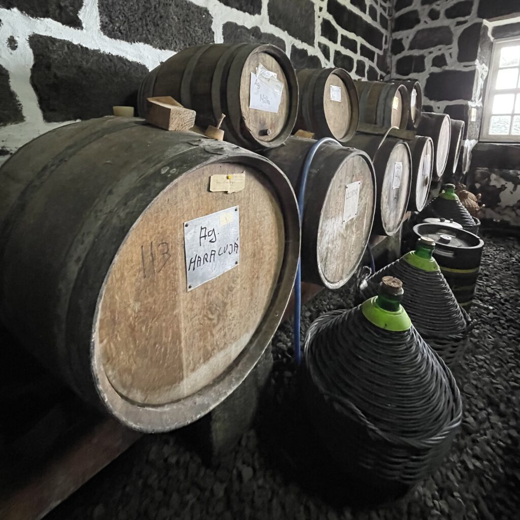 A traditional Pico Island wine cellar with wooden barrels and wicker-wrapped demijohns used for aging wine.