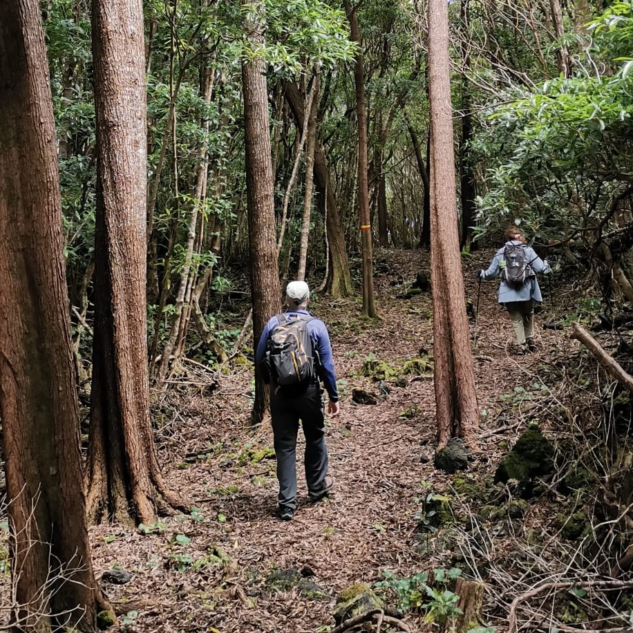 Pico East Coast Hike