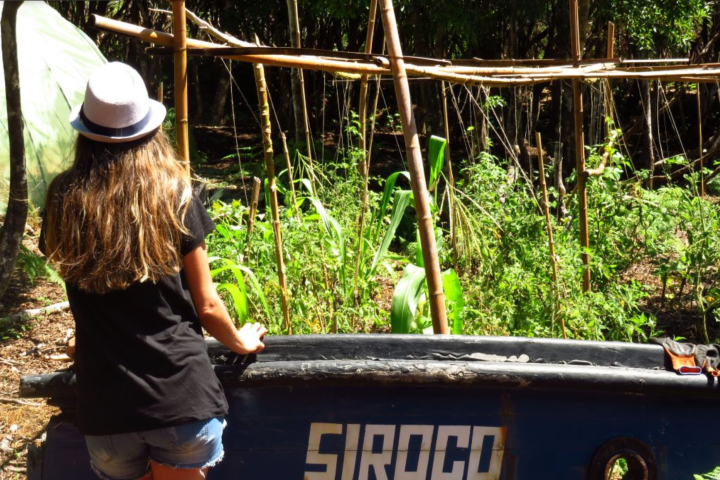 Woman in hat standing by a painted barrel in a garden with bamboo supports.