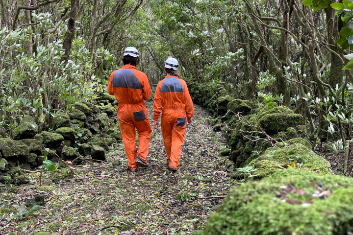 Two people in orange overalls walk on a mossy forest path.