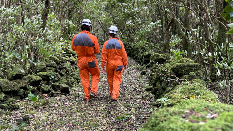 Two people in orange overalls walk on a mossy forest path.