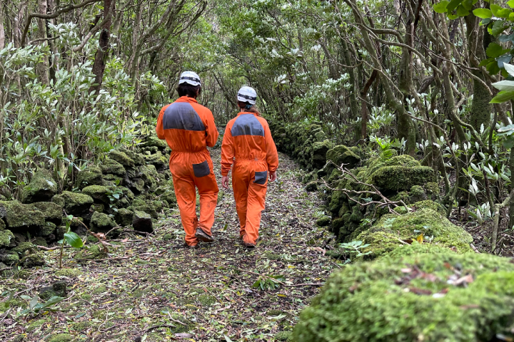 Two people in orange uniforms walking on a forest path bordered by mossy stones.