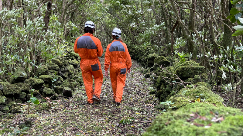 Two people in orange uniforms walking on a forest path bordered by mossy stones.