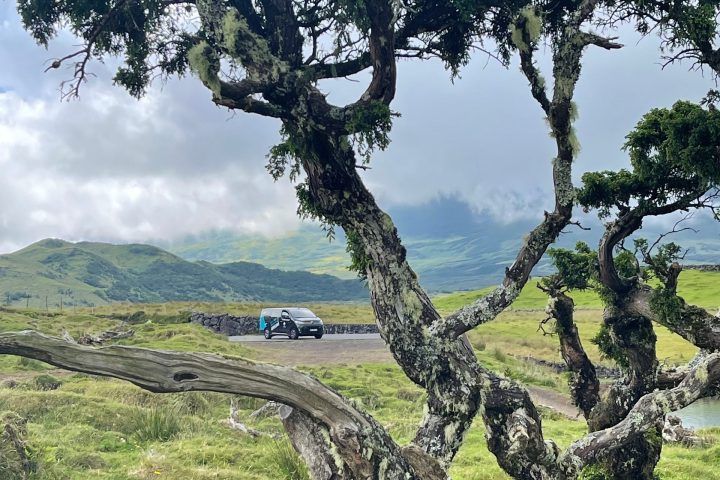 Twisted tree in foreground with car parked on a rural road, cloudy sky, and hills in the background.