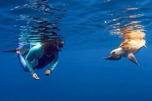 Person and sea turtle swimming underwater in clear blue ocean.