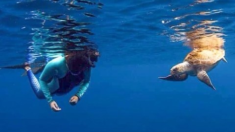 Person and sea turtle swimming underwater in clear blue ocean.