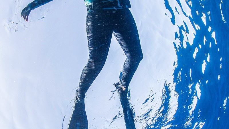 Person swimming underwater with flippers, viewed from below against a blue background.