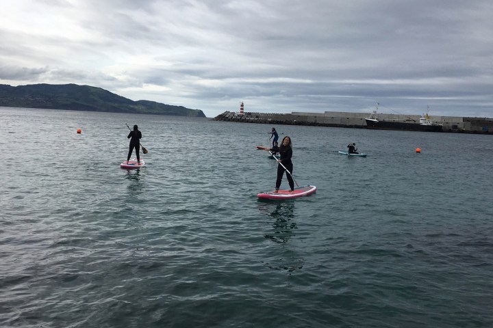 Four people paddleboarding on a calm sea near a harbor with a lighthouse.
