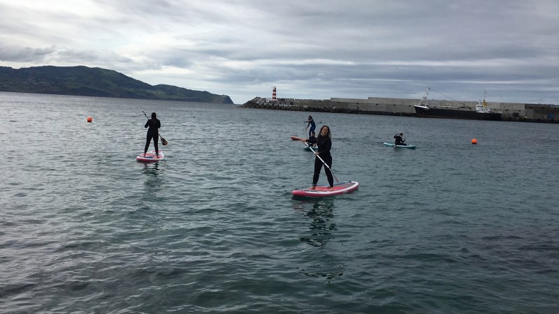 Four people paddleboarding on a calm sea near a harbor with a lighthouse.