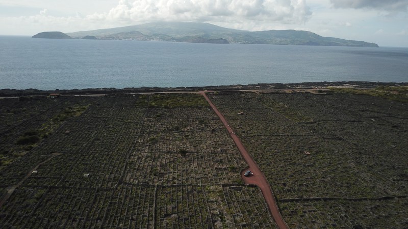 Aerial view of a vineyard with a red dirt road leading to the sea and an island in the background.