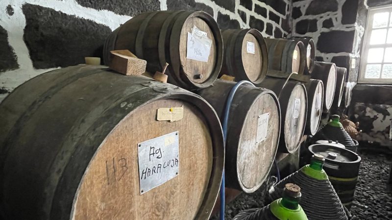 Wooden barrels and demijohns in a stone-walled storage room with a window.