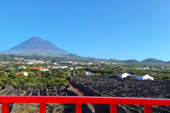 Red railing overlooking vineyards and a distant mountain under a clear blue sky.