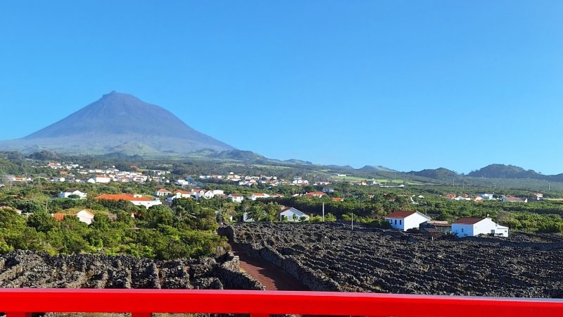 Red railing overlooking vineyards and a distant mountain under a clear blue sky.