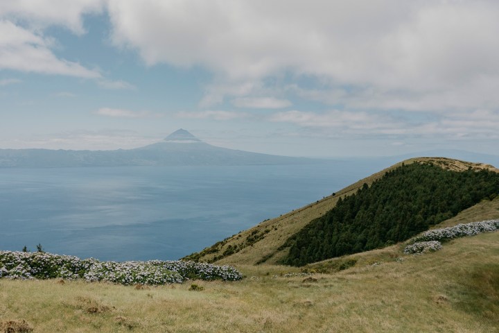 A grassy hill with flowers overlooking the ocean and a distant mountain under a cloudy sky.