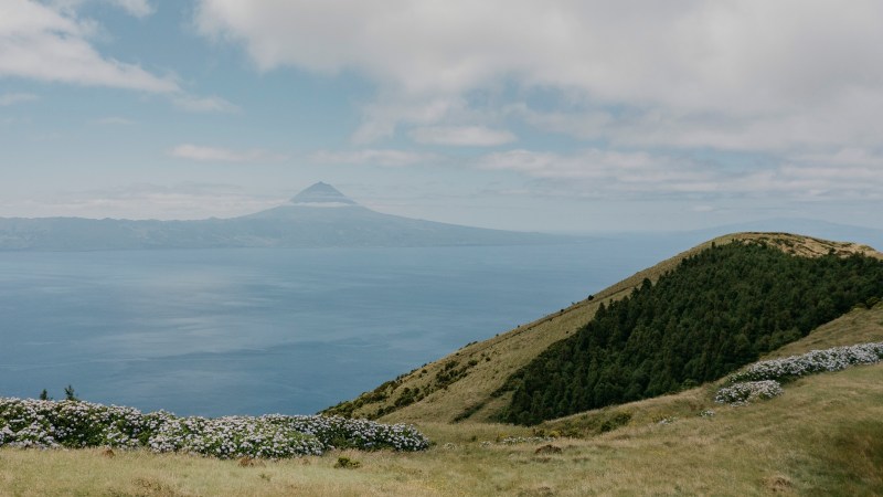 Mountain range view with ocean, grass, and wildflowers under cloudy sky.