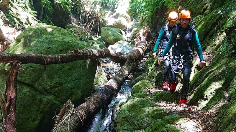 Two people in helmets hiking along a forest stream with mossy rocks.